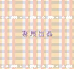 専用出品
