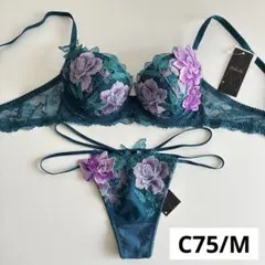 サルート 30G リッチヴェールブラ D70 & ソングM & ガーターM GR