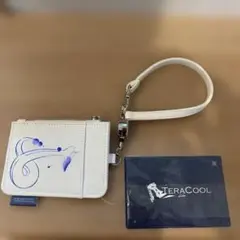 ポケモンセンター　ポーチ TERACOOL ハクリュー ポケモンセンター TERACOOL ハクリュー ポーチ ピカピカボックス