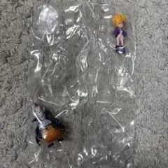 ワンピの実　リリス　モリア