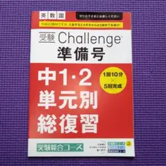 【最終値段】進研ゼミ　中1.2単元別総復習　英数国　 お試し教材