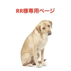 RR様専用ページ