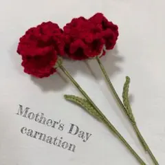 母の日 カーネーションブーケ 枯れない花束 編みぐるみ