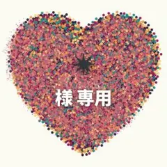 ✴︎ 様　専用ページ