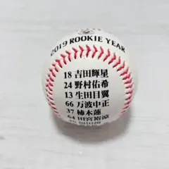 2026年最新】日本ハムファイターズサインボールの人気アイテム - メルカリ