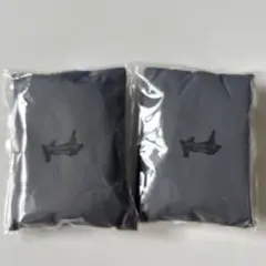 Item thumbnail for item c00881d9-7118-4354-8975-e73a6af2ee80