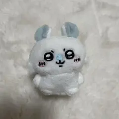 モモンガ お座りぬいぐるみ