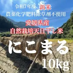 自家栽培 ぴかまる うるち玄米20kg - メルカリ