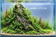 2026年最新】ada 万天石の人気アイテム - メルカリ