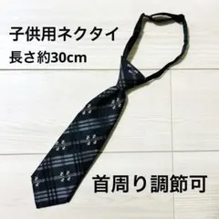 Item thumbnail for item e1509a50-d191-486d-be50-f49cd73e9f2f