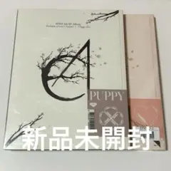 EPEX 4集 アルバム 新品未開封