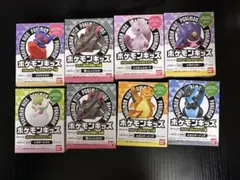 ポケモンキッズ　メガ進化　8個