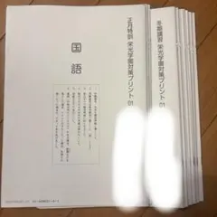 2026年最新】栄光学園 サピックスの人気アイテム - メルカリ