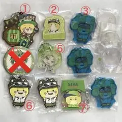 カラフルピーチ　シヴァ　まとめ売り　バラ売り可