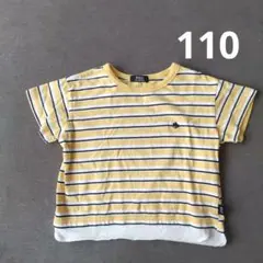 POLO 　ポロ　110cm 　イエロー ストライプ Tシャツ