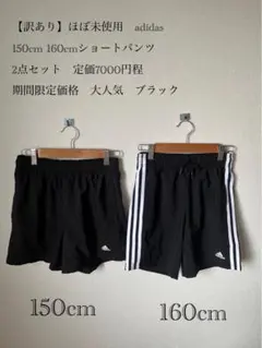 Item thumbnail for item 7a2b789e-0711-44e3-9003-9317f11c9a5e