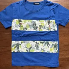 klädkåp Tシャツ 120 青 動物　植物柄
