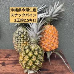 甘い樹実り完熟スナックパイン❣️生産量日本一の東村のパイナップル