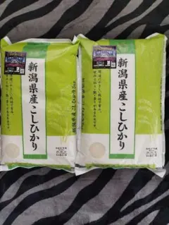 無農薬無肥料あきたこまち白米10キロ - メルカリ