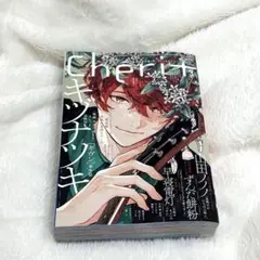 Cheri+ シェリプラス 10th mix まとめ売り Cheri+ シェリプラス 10th mix まとめ売り Cheri+ シェリプラス