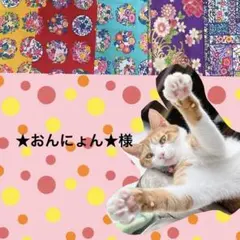 猫首輪 フラワーモチーフ ＋セーフティバックル ⑩-MJ12