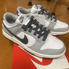 NIKE ナイキ　dunk low ダンクロー　23cm 新品未使用