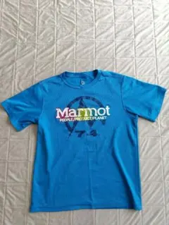 Marmot メッシュ Tシャツ 青色 グラフィックプリント
