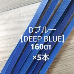 【青 ブルー 160㎝×5本】 ◆硬式可◆