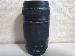 2026年最新】eos kiss x50 望遠レンズの人気アイテム - メルカリ