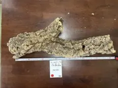 たぬ吉植堂様 リクエスト 2点 まとめ商品