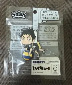 ハイキュー　つままれシリーズ 赤葦