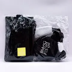 Item thumbnail for item 108965e8-8a2f-4a21-b99e-5037e3a392b2