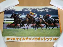 JRA ヒーロー列伝 クリアファイル メイショウマンボ - メルカリ