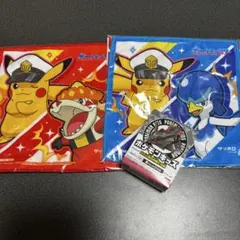 ポケモンキッズ リコ、ロイと旅の仲間たち編 ・黒いレックウザ ハンドタオル2枚