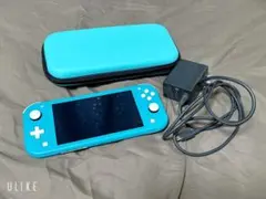 Switch Lite ポケモン ザシアン・ザマゼンタ版箱無し 最終値下げ