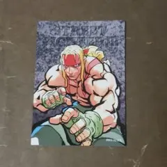 アレックス ブロマイド 購入特典 ストリートファイター6 あみあみ スト