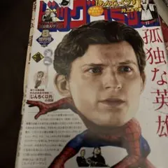 2026年最新】ビッグコミック 増刊号の人気アイテム - メルカリ