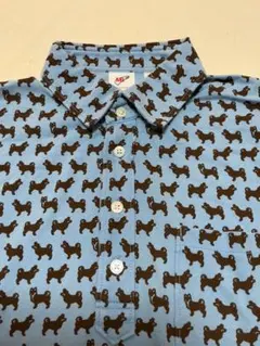 Item thumbnail for item 05de5e22-b2a4-4115-bd59-a546d44d5bf4