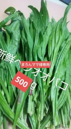 まろんママ様専用