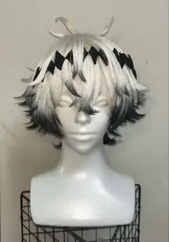 2025年最新】スカリ ウィッグの人気アイテム - メルカリ