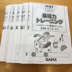小学5年 基礎力トレーニング SAPIX サピックス　算数