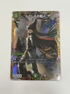 2025年最新】デュエルマスターズ 初期 コンプリートの人気