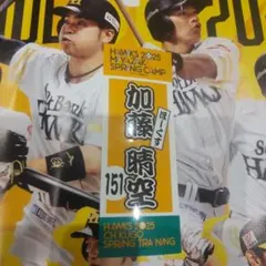 Item thumbnail for item c95f159c-2a92-4132-a0a4-11431a5be8ac