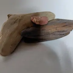 Item thumbnail for item 14af957e-aa87-4e0c-bbe4-0aa1934423d7