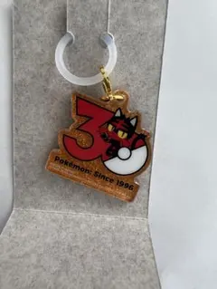 ポケチャーム 포켓몬 30周年 アクリルキーホルダー ニャビー