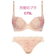 Item thumbnail for item 1f6e6411-0148-41ee-8ef5-40c75965058b