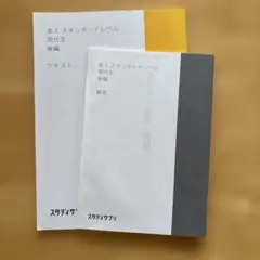 スタディサプリ 高3 スタンダードレベル 現代文 後編 テキスト 解答のサムネイル