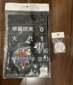大社vs早稲田実業　第106回甲子園大会 スコアボードタオル&キーホルダー