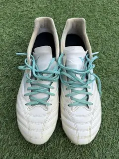 Item thumbnail for item 376f69d0-7717-4dae-b69d-1b473bae0c13