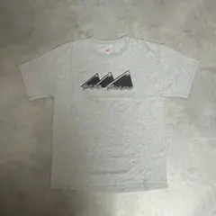 Hanes MCPP Mentors プリントTシャツ グレー Lのサムネイル
